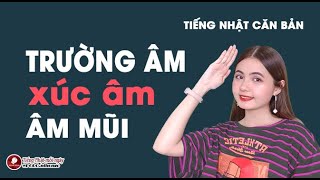 TRƯỜNG ÂM・XÚC ÂM・ÂM MŨI TRONG TIẾNG NHẬT  TIẾNG NHẬT CĂN BẢN [upl. by Yvehc445]