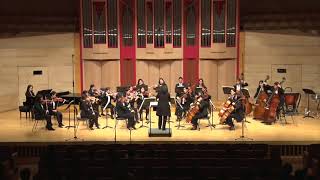 Speranza Chamber Orchestra Mendelssohn  Spring Song [upl. by Rutan]