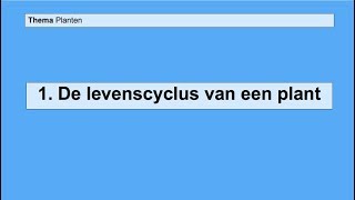 Basisstof 1 De levenscyclus van een plant [upl. by Dorsey]