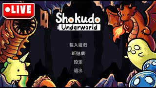 915 在地底世界做茶碗蒸 Shokudo underworld 地窖食堂 [upl. by Sofko]