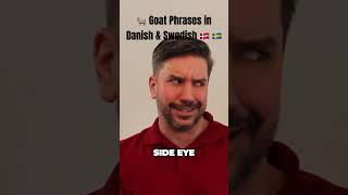 🐐 Goat Phrases in Danish amp Swedish 🇩🇰🇸🇪 danish swedish [upl. by Eugilegna]