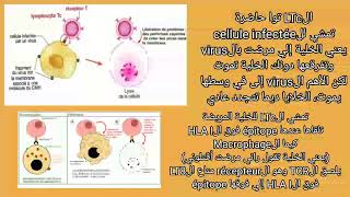 Immunité réponse immunitaire adaptative  RIMC  BAC 2022 [upl. by Christis]