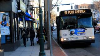 BeeLine Bus Action in New Rochelle Main Street amp North Avenue [upl. by Nassir]