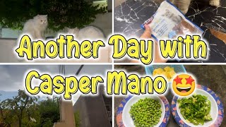 Another day with my cats 🤣🤣  funniest ever vlog with Casper Mano 🤣🤣  The Casper Home Family [upl. by Eirehs]