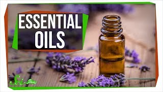 Do Essential Oils Really Work And Why [upl. by Rawdin]