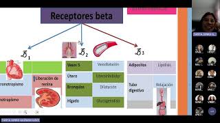 SEMANA2 FARMACOLOGIA FARMACODINAMIA 20230806 [upl. by Naashom]