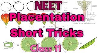 Morphology Of Flowering Plants Short tricksHow to memorize examples of Morphology of plant [upl. by Hsac766]