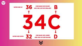 What is the difference between 34C and 34B bra sizes [upl. by Tuttle652]