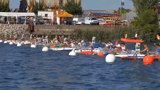 K1 Men Seniors  2024 ICF Canoe Marathon World Championships [upl. by Hughmanick]