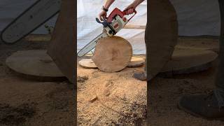 Stihl 039 chainsaw vs cherry log  shorts [upl. by Lyndsay]