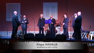 Klapa NAVALIA Koncert  25 godina [upl. by Einalam96]