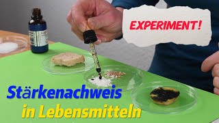 Forsche mit uns Experiment Stärkenachweis in Lebensmitteln [upl. by Acinemod156]