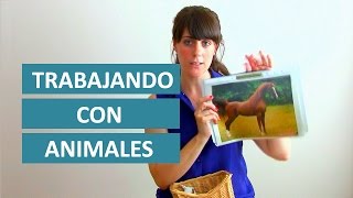 Juegos de Animales para Niños  Montessori en Casa [upl. by Bari]