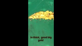 Small Miners Strike Gold in BC [upl. by Akiehsat525]