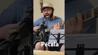 Djavan cover  Pétala [upl. by Milena]