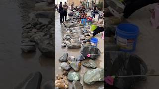 Stone Market New Viral Gadgets Smart Appliances Kitchen UtensilsHome Inventionsshorts gadgets [upl. by Lambert716]