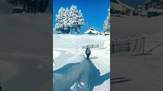 Winter In Kashmir Kashmir Jammu Kashmir Kashmir Today foryou [upl. by Natsirt883]