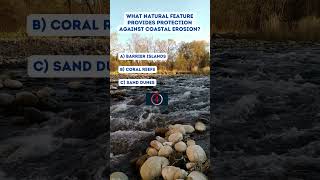 Coastal Erosion Management [upl. by Packton]