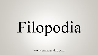 How To Say Filopodia [upl. by Marjana903]