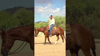 Give them the reins early reining reiningmasterclass powerclinic [upl. by Legra]