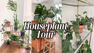 My Full Houseplant Tour 2024 30 Plants  Easy to Care for Houseplants  My Indoor Plant Collection [upl. by Hubey]