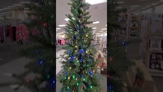 Watch  Christmas Trees  Tall amp Small  For YouTube Holiday Shorts Entertainment [upl. by Chaing968]