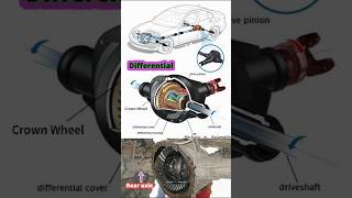 How Differentials Work and Why You Want One 😜 shorts IC [upl. by Amatruda]