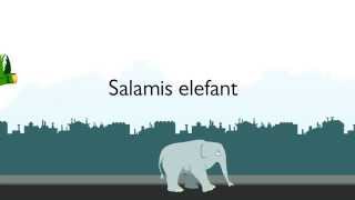 Salamis Elefant [upl. by Adrianna]