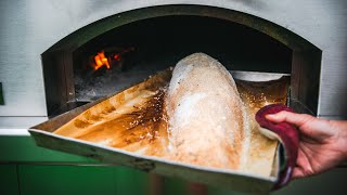 Salt Crusted Red Drum Fish Recipe [upl. by Liuqnoj792]