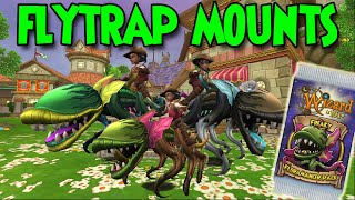 Wizard101 FLAYTRAP MOUNTS Review [upl. by Nanci]