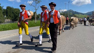 Alpfahrten Appenzell 2021 [upl. by Ydassac]