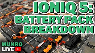 Hyundai Ioniq 5 Integrated cooling plate  Battery Pack Breakdown [upl. by Fortunna58]