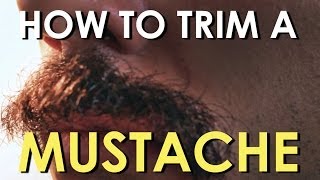 How to Trim Your Mustache  The Art of Manliness [upl. by Ettelracs]