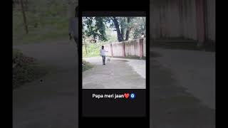 ❤️🧿 youtubeshorts trending cute comedy dog labrador papamerijaan animalmovie viral [upl. by Nedroj]