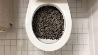 Will it Flush  Oreo Os Cereal [upl. by Eyllib]