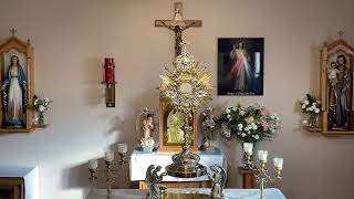 LIVE Eucharistic Adoration  Sisters of Divine Mercy [upl. by Yddor]