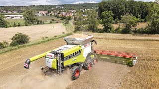 Claas Lexion 8900  Vario 1380  Gerstenernte  Ernte 2020  4K [upl. by Alden22]