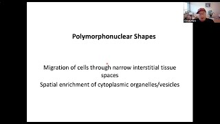 quotBuilding Polymorphonuclear Cellsquot by Dr Cornelis Murre [upl. by Decamp]