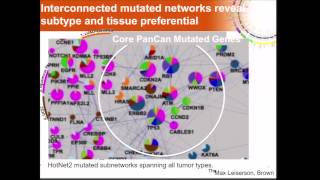 What do we learn from from PanCancer Subtyping  Josh Stuart [upl. by Samale187]