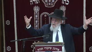 quotThe Bostoner Rebbequot Living a Life of Growth And Achievement  Rabbi Shimshon Sherer Shlita [upl. by Philps]