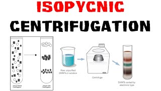 Isopycnic centrifugation [upl. by Bigod]