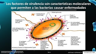 Sesión P2 Microbiología factores de virulencia adhesinas e invasinas [upl. by Lerrehs915]