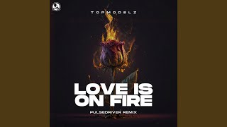 Love Is On Fire Pulsedriver Remix [upl. by Lj813]