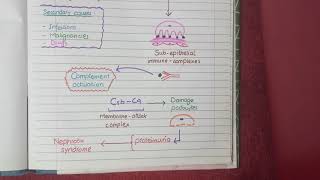 Membranous Nephropathy  Pathology [upl. by Sualocin]