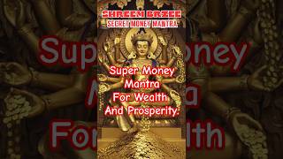 quotDiscover the Secret Money Mantra SHREEM BRZEE for Instant Wealth and Prosperityquot manifestation [upl. by Mccandless]