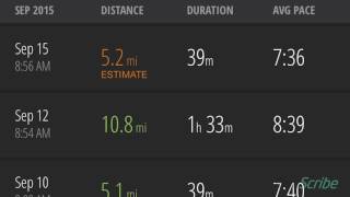 RunScribe Metrics [upl. by Lacram134]