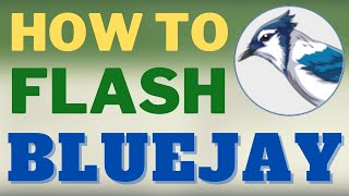 How to flash Bluejay to BLheliS ESCs in 30s [upl. by Aicena]