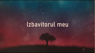 Izbavitorul meu Lyrics  LuminaLumii Worship [upl. by Nitsrik]