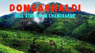 DONGARHALDI  HILL STATION  CHANDRAPUR  KOSHISH EXPLORE  BEST PLACE CHANDRAPUR [upl. by Flam]