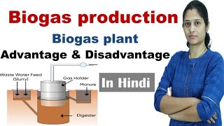 Biogas production  Gobar gas  Methane production  Biogas plant  Biogas in Hindi [upl. by Dickie]